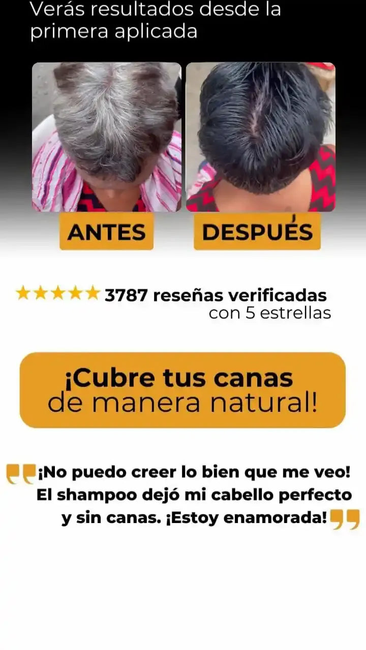 Encabezado