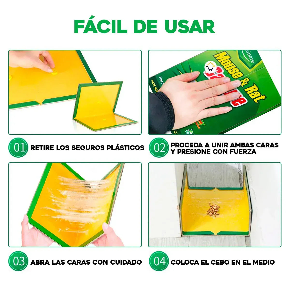 Encabezado