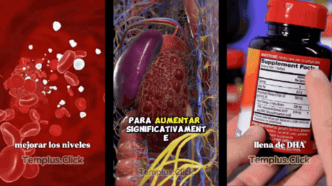 Encabezado